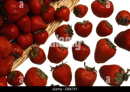Questa foto mostra una collezione di fragole mature, appena raccolte e pronte per il consumo. Le bacche sono di colore rosso vivace, con una consistenza lucida e i semi caratteristici visibili sulla superficie. Foto Stock