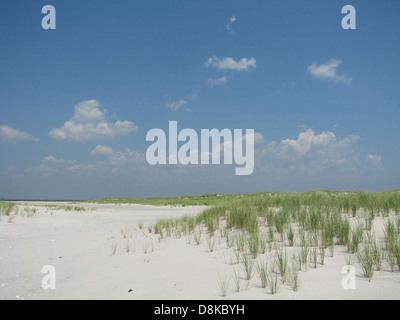 Una tranquilla spiaggia di sabbia bianca con piccole macchie di erba verde che crescono vicino alla riva. L'immagine cattura la calma della spiaggia, con un cielo limpido sopra e un'atmosfera tranquilla. Foto Stock