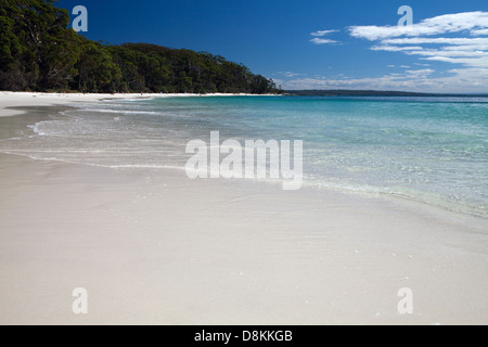 La vita in spiaggia, Jervis Bay, NSW, Australia Foto Stock