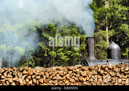 Treni storici; il Coni'Fer, Giura, Francia. Foto Stock