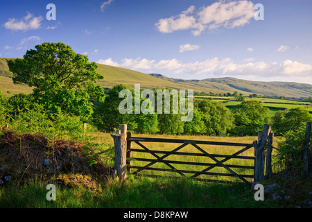 Paesaggio rurale Llanddeusant (Y Mynydd Du) Montagna Nera Parco Nazionale di Brecon Beacons Carmarthenshire Galles Foto Stock