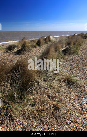 Estate, Dunwich Heath beach, nella contea di Suffolk, East Anglia, Inghilterra. Foto Stock