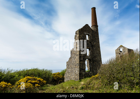 I resti di un motore della Cornovaglia house. Foto Stock