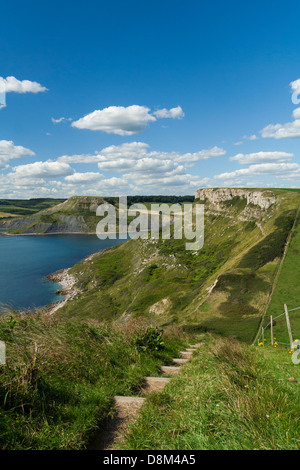 Vista del sentiero costiero che si affaccia sul mare e le scogliere in Dorset Worth Matravers Isle of Purbeck Foto Stock