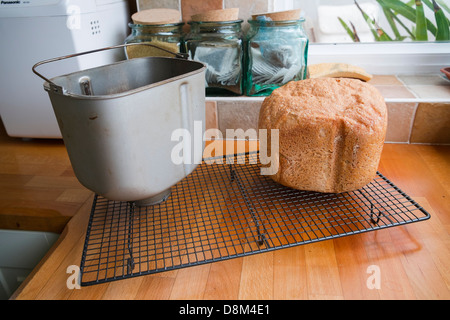 Fare il vostro proprio pane con una macchina per il pane Foto Stock