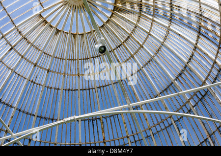 Tetto del più antico del mondo ferro curvilinea-palazzo di vetro, la casa delle palme nel giardino botanico di Belfast Foto Stock