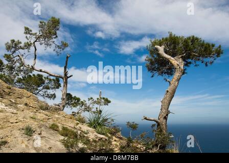 La Westcoast di Maiorca vicino a Banyalbufar Foto Stock