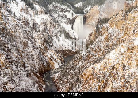 Il fiume Yellowstone cade sopra le Cascate Inferiori nel Grand Canyon di Yellowstone nel sud del Parco Nazionale di Yellowstone. Foto Stock