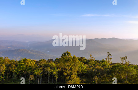 Vista attraverso il cardamomo colline a ridosso del Periyar Wildlife Sanctuary al tramonto e fotografati da un picco vicino a Kumily Kerala, India Foto Stock