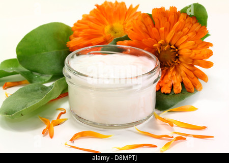 pomata di calendula Foto Stock