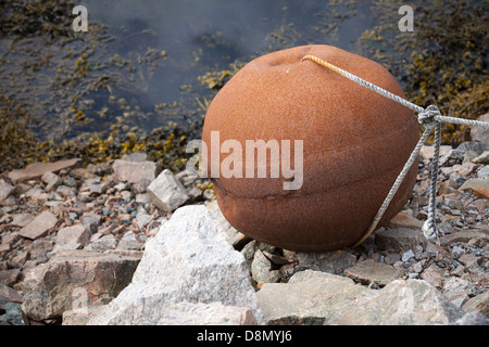 Pesca arrugginita boa sferica si trova in riva al mare Foto Stock