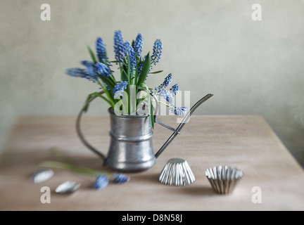 Vita Tranquilla con l'uva giacinti Foto Stock