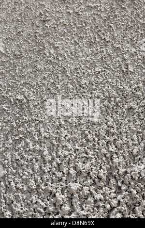 Clarts secco sulla parete blu Foto Stock