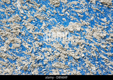 Clarts secco sulla parete blu Foto Stock