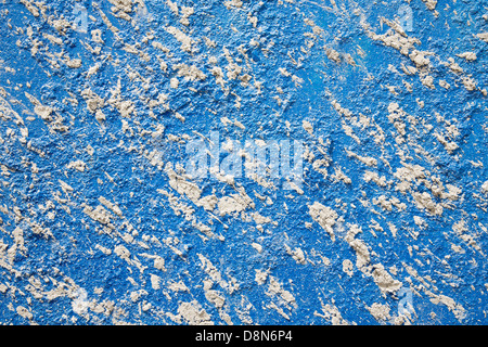 Clarts secco sulla parete blu Foto Stock