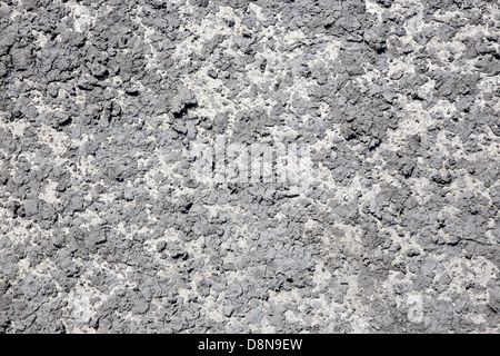 Clarts secco sulla parete Foto Stock