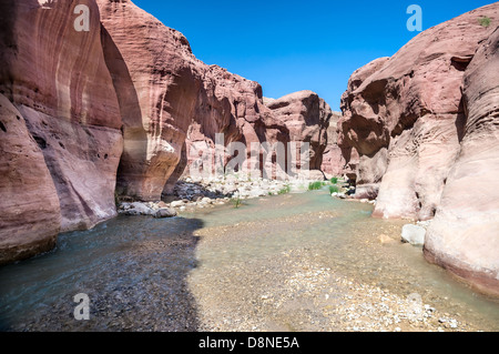 Il paesaggio di un flusso di acqua di insenatura di Wadi presentauna, Giordania Foto Stock