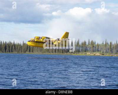 Un aereo da bombardiere ad acqua, progettato per combattere gli incendi, mostrato in volo mentre getta acqua su un fuoco. L'aereo è dotato di serbatoi specializzati per contenere e rilasciare grandi quantità d'acqua per contenere gli incendi in aree remote o grandi. Foto Stock