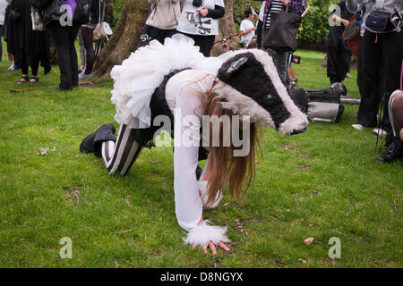 London, England Regno Unito 01/06/2013. Manifestanti marzo attraverso il centro di Londra in opposizione al governo del Regno Unito pilota controverso badger cull che è impostata in modo da iniziare il 1 giugno di quest'anno. Il governo chiamato cull nel tentativo di impedire la diffusione di animali della specie bovina tuburculosis che essi rivendicazione è portato da badgers e passato al bestiame, ma i dimostranti affermano che non vi è alcuna base scientifica per un abbattimento e che per le riprese dei badgers sarà inutile e disumano. Foto Stock