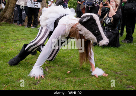 London, England Regno Unito 01/06/2013. Manifestanti marzo attraverso il centro di Londra in opposizione al governo del Regno Unito pilota controverso badger cull che è impostata in modo da iniziare il 1 giugno di quest'anno. Il governo chiamato cull nel tentativo di impedire la diffusione di animali della specie bovina tuburculosis che essi rivendicazione è portato da badgers e passato al bestiame, ma i dimostranti affermano che non vi è alcuna base scientifica per un abbattimento e che per le riprese dei badgers sarà inutile e disumano. Foto Stock