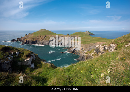 Le groppe Pentire testa Cornwall Regno Unito Foto Stock