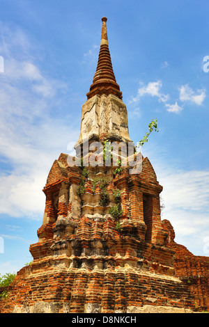 Rovine di Wat Mahathat (Wat Maha That), Ayutthaya, Thailandia Foto Stock