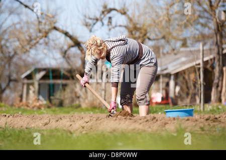 La donna lavora in giardino, con una pala la semina delle patate Foto Stock