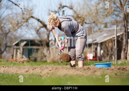 La donna lavora in giardino, con una pala la semina delle patate Foto Stock