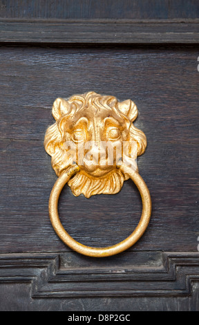 Nassau lion come door knocker, Schloss Weilburg Castello, Weilburg an der Lahn, Hesse, Germania, Europa Foto Stock