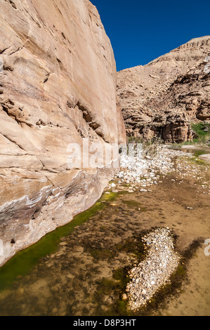 Flussi di acqua attraverso il Western Giordania nel Wadi presentauna Foto Stock