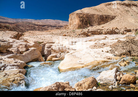 Flussi di acqua attraverso il Western Giordania nel Wadi presentauna Foto Stock