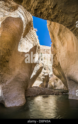 Flussi di acqua attraverso il Western Giordania nel Wadi presentauna Foto Stock