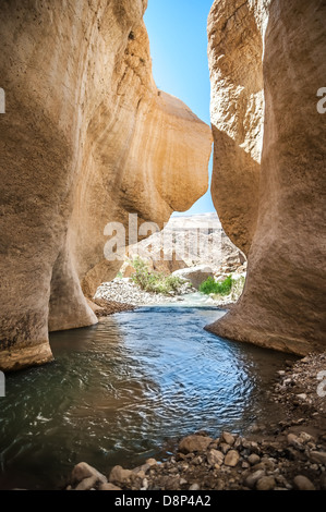 Flussi di acqua attraverso il Western Giordania nel Wadi presentauna Foto Stock