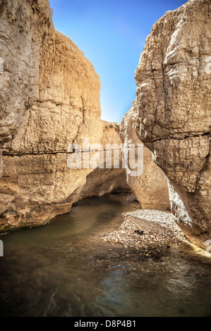 Flussi di acqua attraverso il Western Giordania nel Wadi presentauna Foto Stock