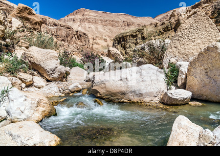 Flussi di acqua attraverso il Western Giordania nel Wadi presentauna Foto Stock