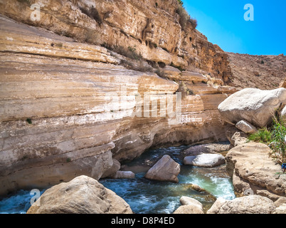 Flussi di acqua attraverso il Western Giordania nel Wadi presentauna Foto Stock