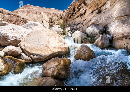 Flussi di acqua attraverso il Western Giordania nel Wadi presentauna Foto Stock