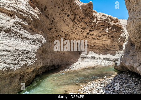 Flussi di acqua attraverso il Western Giordania nel Wadi presentauna Foto Stock