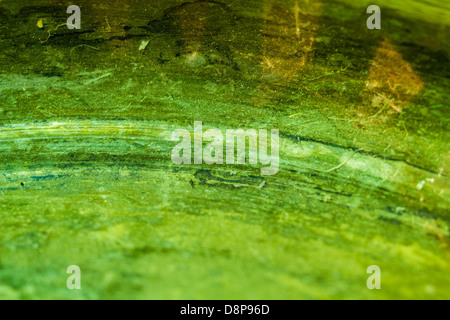 Ad alto dettaglio golden plate texture macro shot Foto Stock