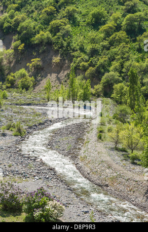 La natura di alberi verdi e il fiume in Almaty, Kazakhstan,Asia Foto Stock