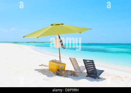 Ombrellone sulla spiaggia dell'arcipelago di Los Roques, Venezuela Foto Stock