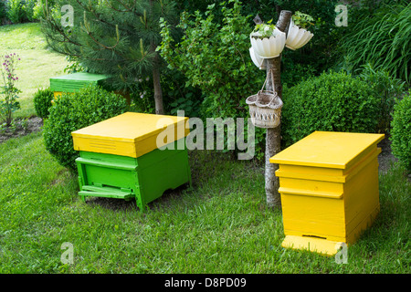 Giallo alveari situati sul prato verde Foto Stock