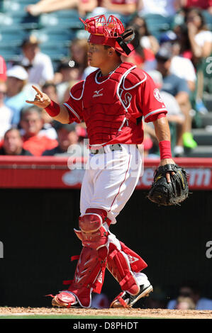 Anaheim, California, USA. 2 Giugno 2013. Los Angeles Angels catcher Hank Conger (16) durante il Little League giorni e il gioco tra la Houston Astros e il Los Angeles Angeli a Angel Stadium il 2 giugno 2013 ad Anaheim, in California. Rob Carmell/CSM/Alamy Live News Foto Stock