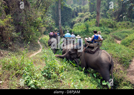 A cavallo sul dorso di elefanti a Chiang Dao Elephant Camp, Chiang Mai, Thailandia Foto Stock