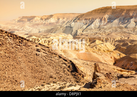 Il deserto del Negev in Israele Foto Stock