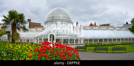 La Casa delle Palme Belfast Botanic Gardens Foto Stock