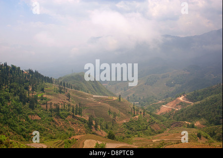 Sapa regione nel Nord Vietnam - il paesaggio con le risaie e le montagne Foto Stock