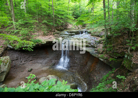 Boston, Ohio - Blu Hen cade in Cuyahoga Valley National Park. Foto Stock