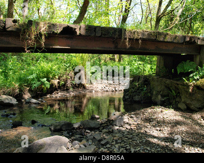 Il vecchio ponte in legno sul torrente, Regno Unito 2013 Foto Stock