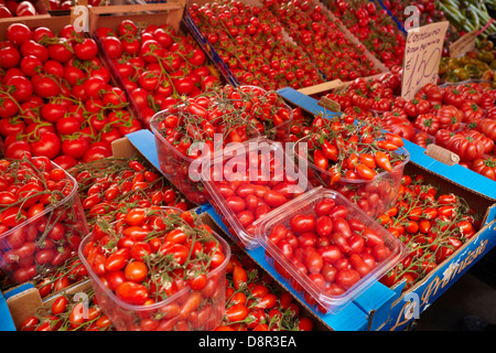 Pomodoro - molti tipi di pomodoro siciliano verdure, mercato alimentare di Ortigia, Siracusa, Sicilia, Italia Foto Stock